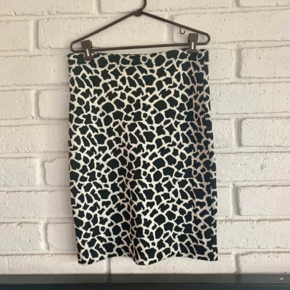 Zara skirt